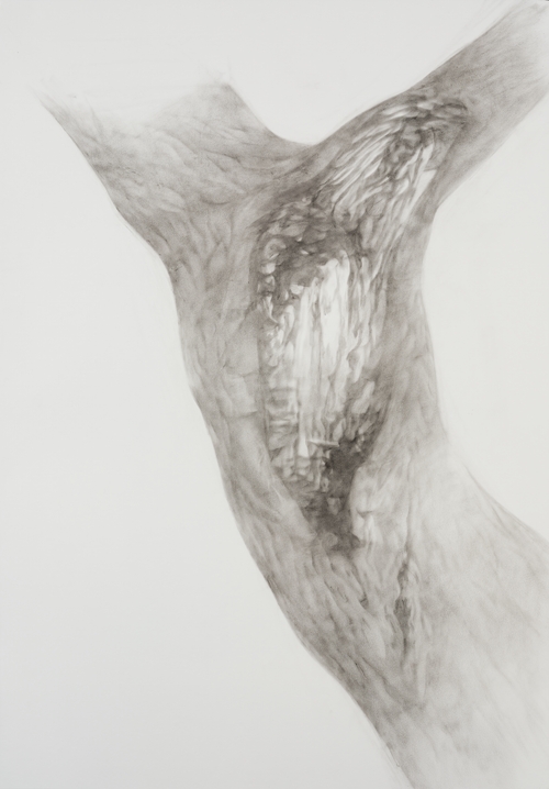 "Body in War" Series