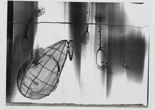 Co-Author 4 by Yeva Kafidova