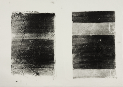 Ultrasound of Butterfly Cocoons 7 by Yeva Kafidova