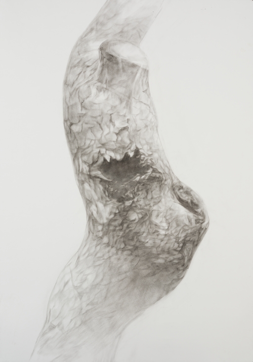 "Body in War" Series