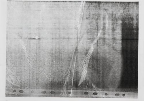 Co-Author 2 by Yeva Kafidova