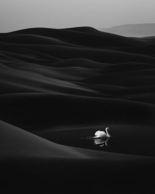 Life Everywhere by Bit Errror