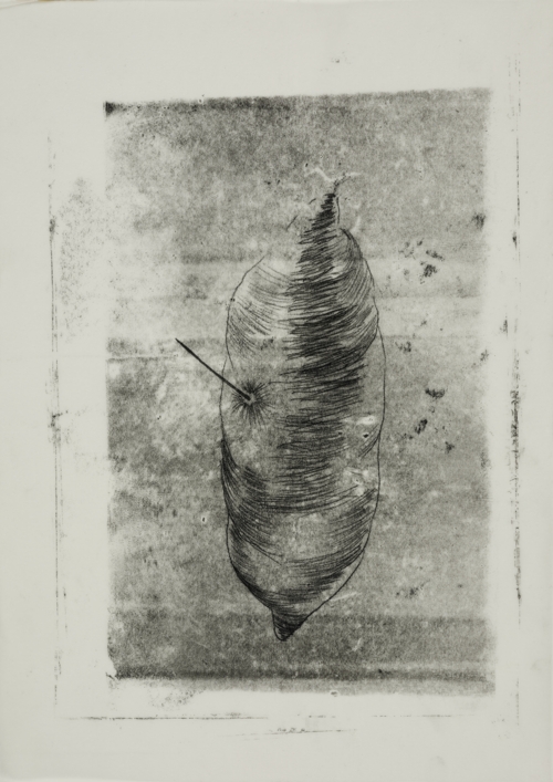 Ultrasound of Butterfly Cocoons 3 by Yeva Kafidova