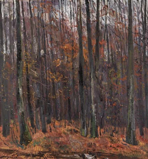 Autumn. Overcast by Ivan Shutiev