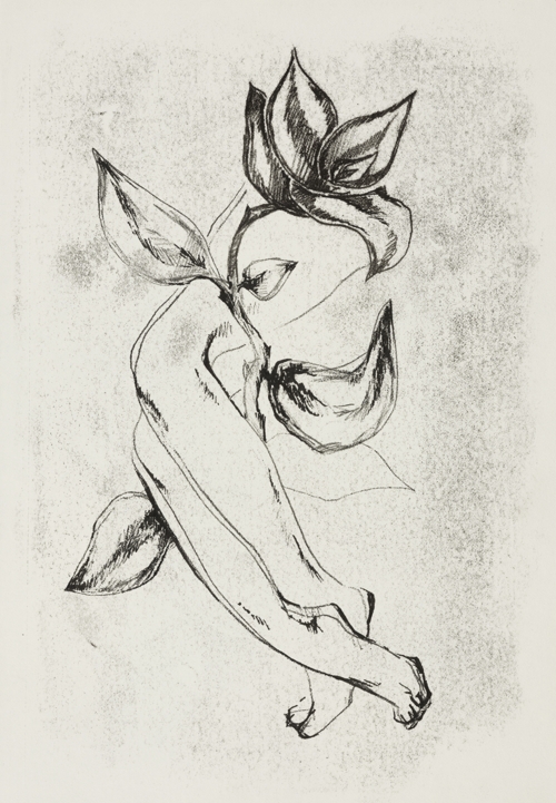 The "WJ" Series by Olena Shtepura