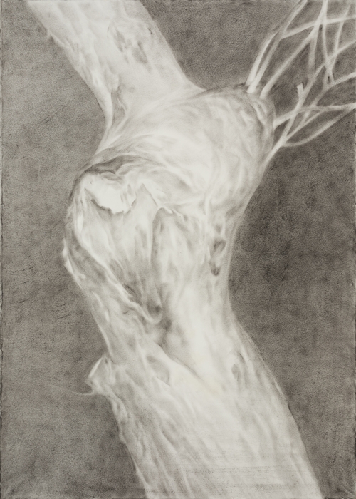 "Body in War" Series