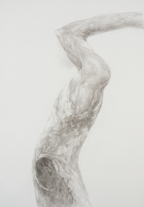 "Body in War" Series