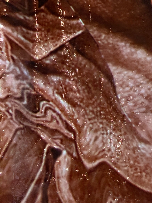 Intertwined Skins: Traces V by Zhannet Podobed