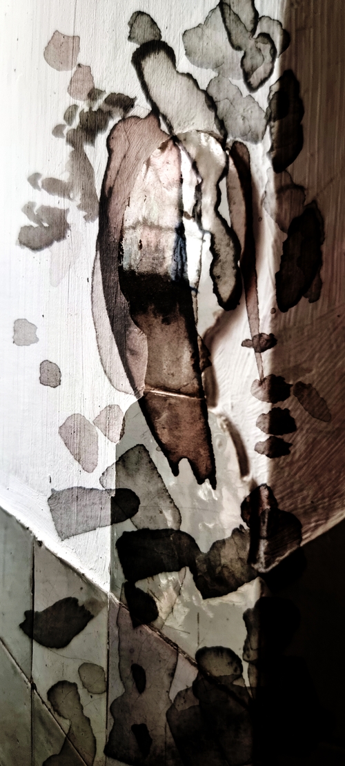 View Through the Palette_3